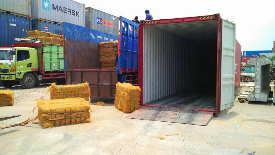 Palletized Cocopeat